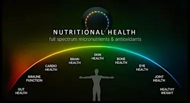 Longevity Night – Dein Cellular-Age-Check live