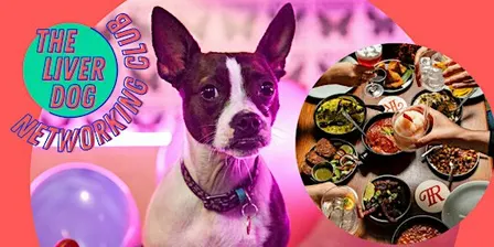 Dog-Friendly Networking Club with The Liver Dog