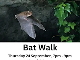 Bat Walk at Ligoniel Dams