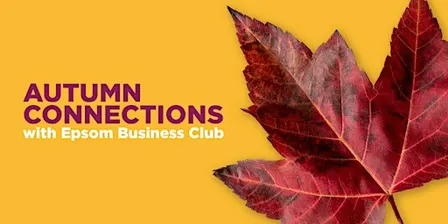 Epsom Business Club November Networking