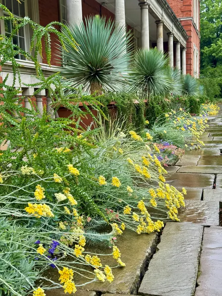The Royal Parks: Gardening for People and Planet (LIVE)