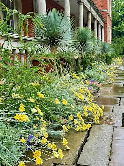 The Royal Parks: Gardening for People and Planet (LIVE)