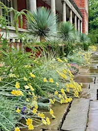The Royal Parks: Gardening for People and Planet (LIVE)