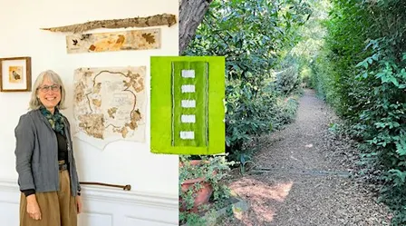 Furze Hill nature walk and Art workshop with Felicity Borwick