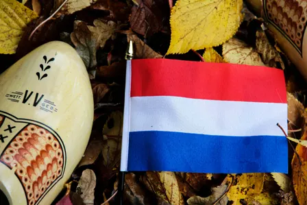 Duolingo+Nederlands in Gang Newcomers Learn Dutch highly educated expats