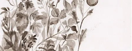 Introduction to Nature Writing: Textures of the New Forest