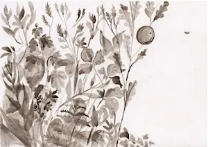 Introduction to Nature Writing: Textures of the New Forest