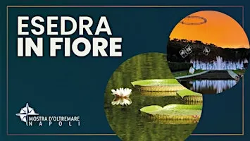 ESEDRA IN FIORE