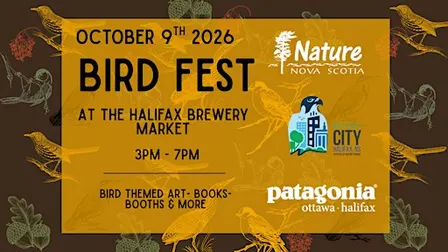 Bird Festival & Market