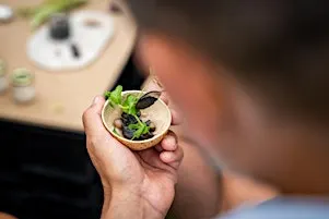 Laïka: Kookworkshop ter voorbereiding van het einde van de wereld #bonen