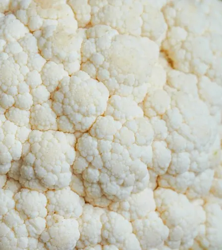 ZERO SPRECHI - Workshop di cucina