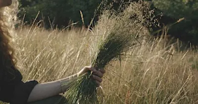 Seasonal Wreath Making with Field Studies Flora