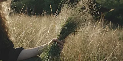 Seasonal Wreath Making with Field Studies Flora