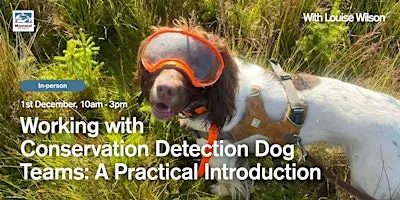 Working with Conservation Detection Dog Teams: A Practical Introduction