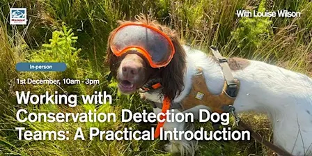 Working with Conservation Detection Dog Teams: A Practical Introduction