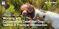 Working with Conservation Detection Dog Teams: A Practical Introduction