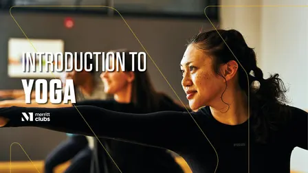 Introduction to Yoga