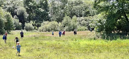 Spotting & Strolling at St Andrews Wetland