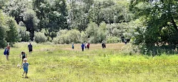 Spotting & Strolling at St Andrews Wetland