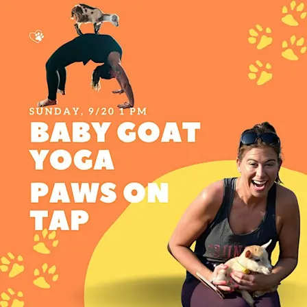 Baby Goat Yoga at Paws on Tap