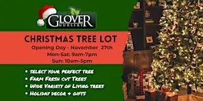 Christmas Tree Lot