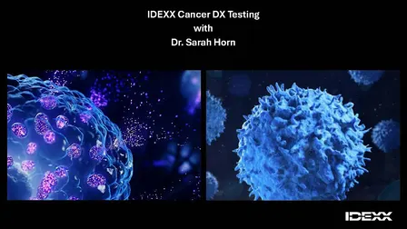 IDEXX Cancer Dx Testing, JP's Bistro
