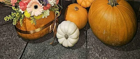 Elle Rose Pumpkin Workshop