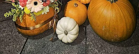 Elle Rose Pumpkin Workshop