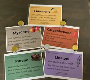 Terpene Lab: Create Your Perfect Profile