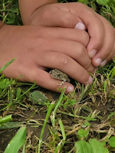 Forest School Club