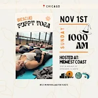 Barks & Brews Halloween: Rescue Puppy Yoga at Midwest Coast Brewing