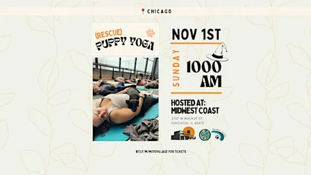 Barks & Brews Halloween: Rescue Puppy Yoga at Midwest Coast Brewing