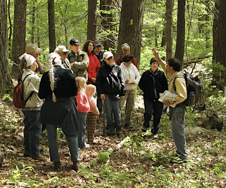 Common Trees of New England