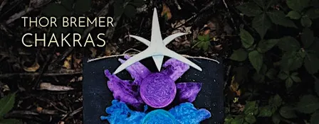 Thor Bremer's Chakras