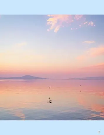 Wellness & Wonder: A Mindful Series