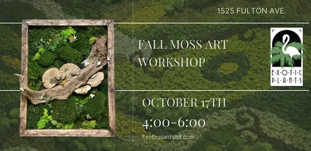 Fall Moss Art Workshop