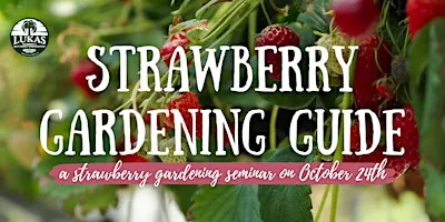 Strawberry Gardening Guide Seminar by Lukas Nursery
