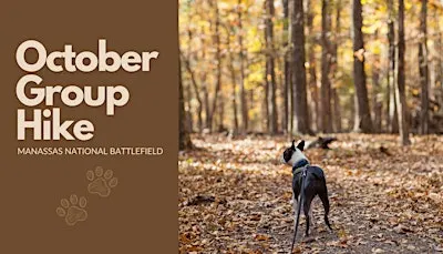 #TravelWithOllie: October Group Hike