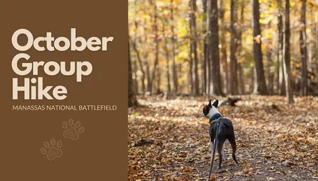 #TravelWithOllie: October Group Hike
