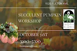 Halloween Pumpkin Arrangement Workshop