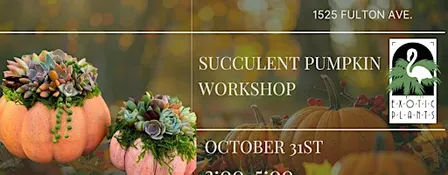 Halloween Pumpkin Arrangement Workshop