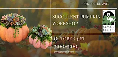 Halloween Pumpkin Arrangement Workshop