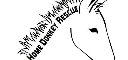 First Annual Donkey Fundraiser for Forever Home Donkey Rescue