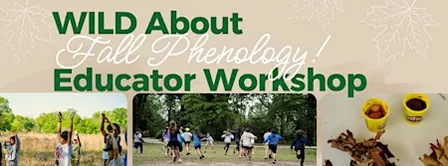WILD About Fall Phenology: Exploring Nature's Seasonal Signals