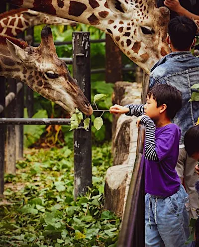 Zoological Garden Free Visit