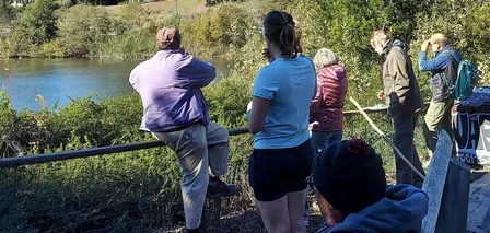 Nature Walk