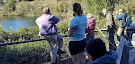 Nature Walk