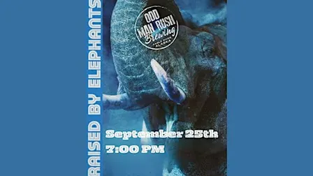 Raised by Elephants at Odd Man Rush Brewing