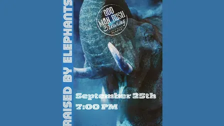 Raised by Elephants at Odd Man Rush Brewing