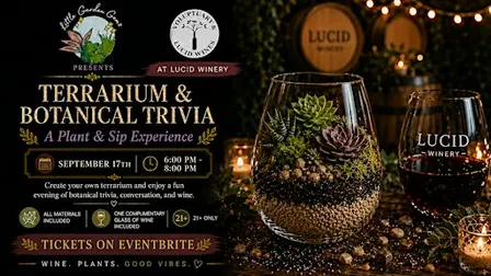 Plant & Sip Experience | Sacramento Night Out